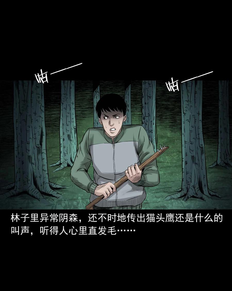 513 恐怖丛林29