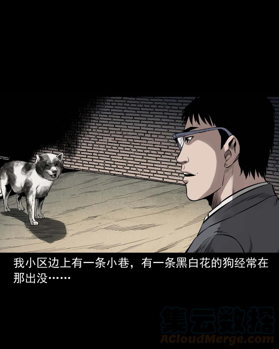 539 犬灵6