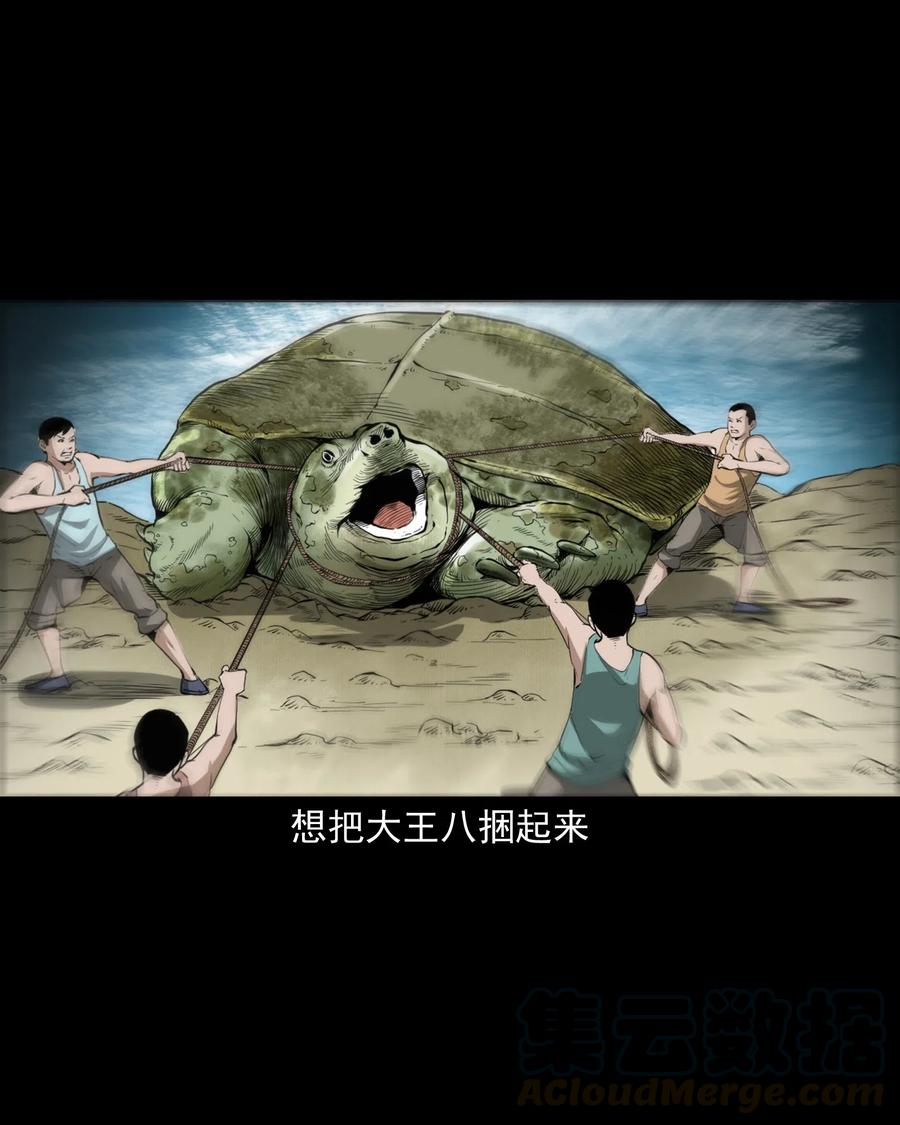 493 大王八15
