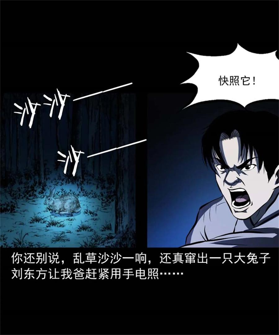 305 夹缝里的宝贝18