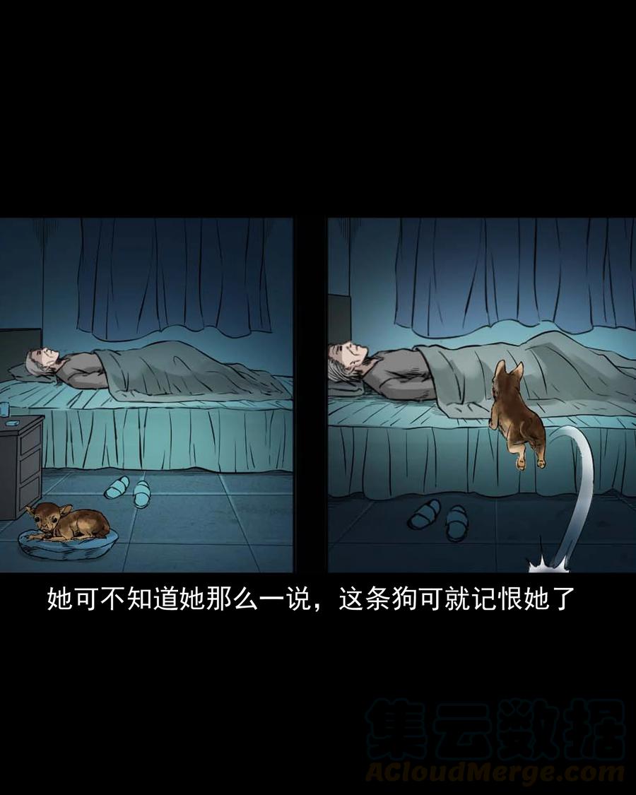 509 狗命26
