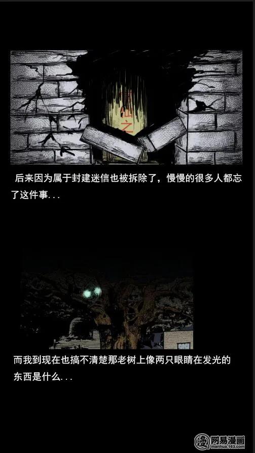 29 古树28