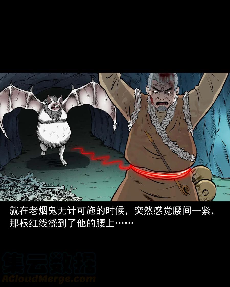 494 老烟鬼8563