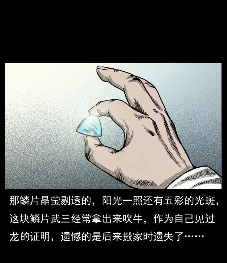 20 坠龙79