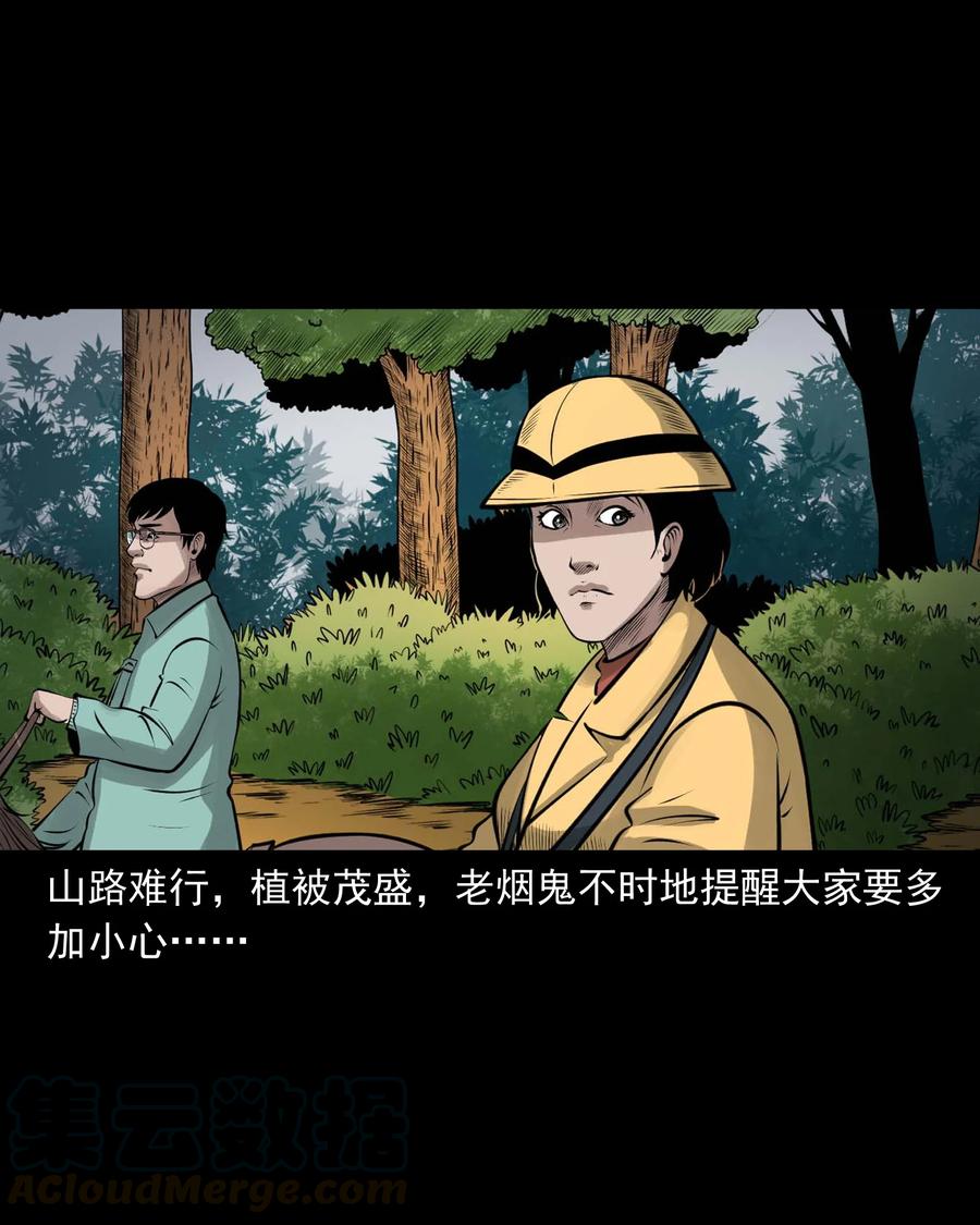 496 老烟鬼8669