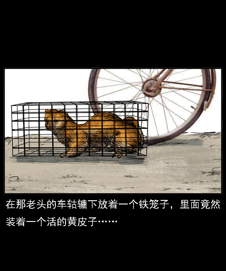 22 黄皮子报恩17