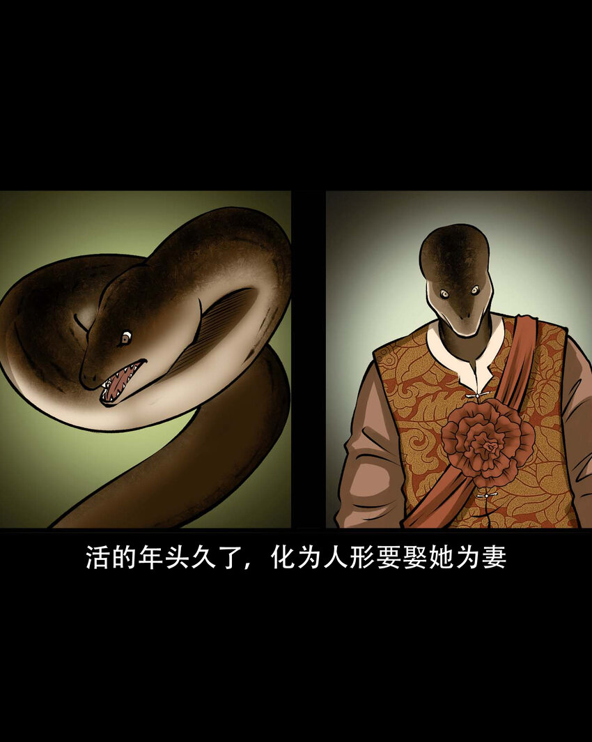 595 老烟鬼135话44