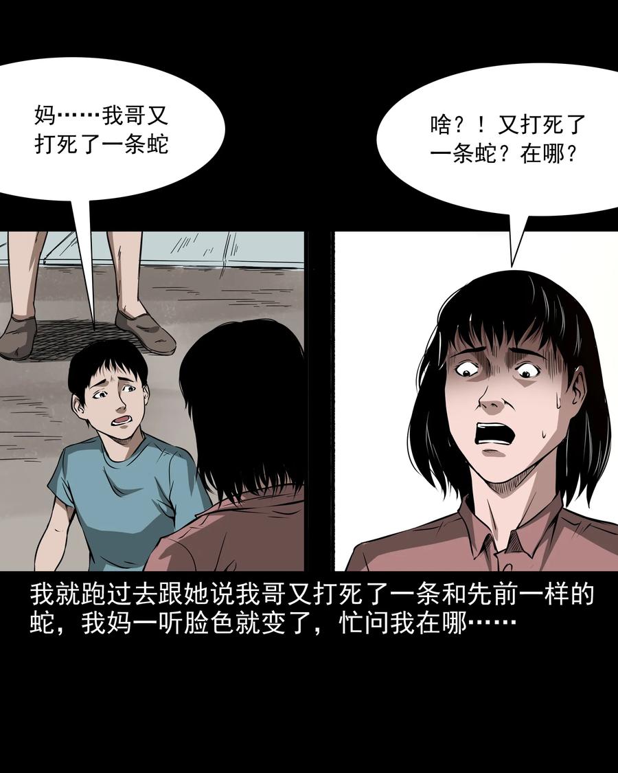291 蛇祸22