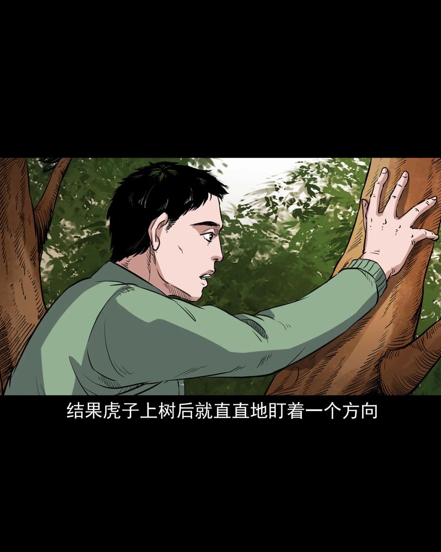 344 梦中诡事5