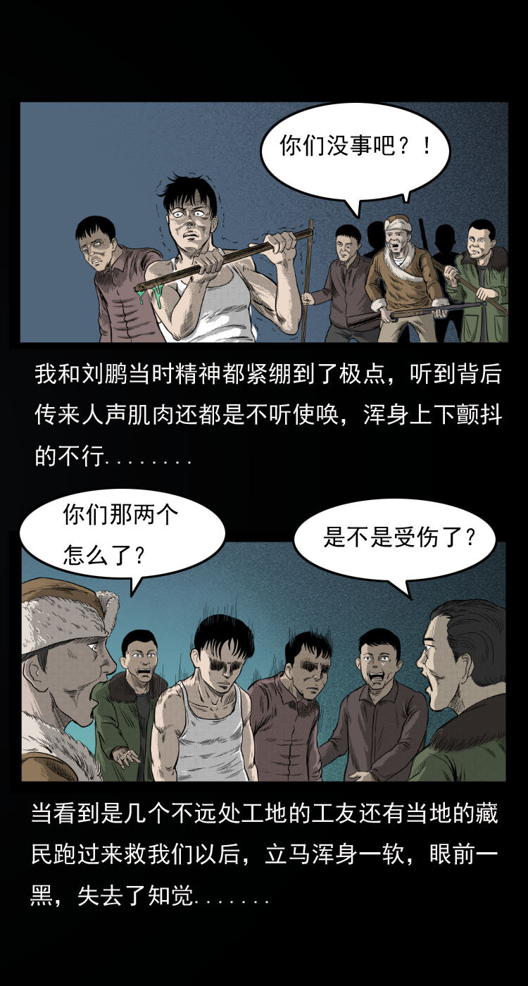 10 青藏铁路怪物事件32