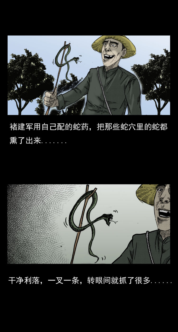 5 活蛇酒10