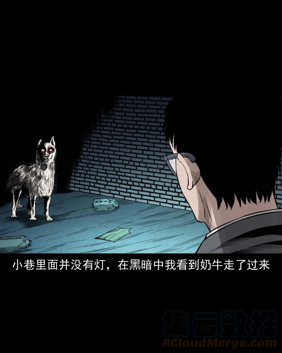 539 犬灵20