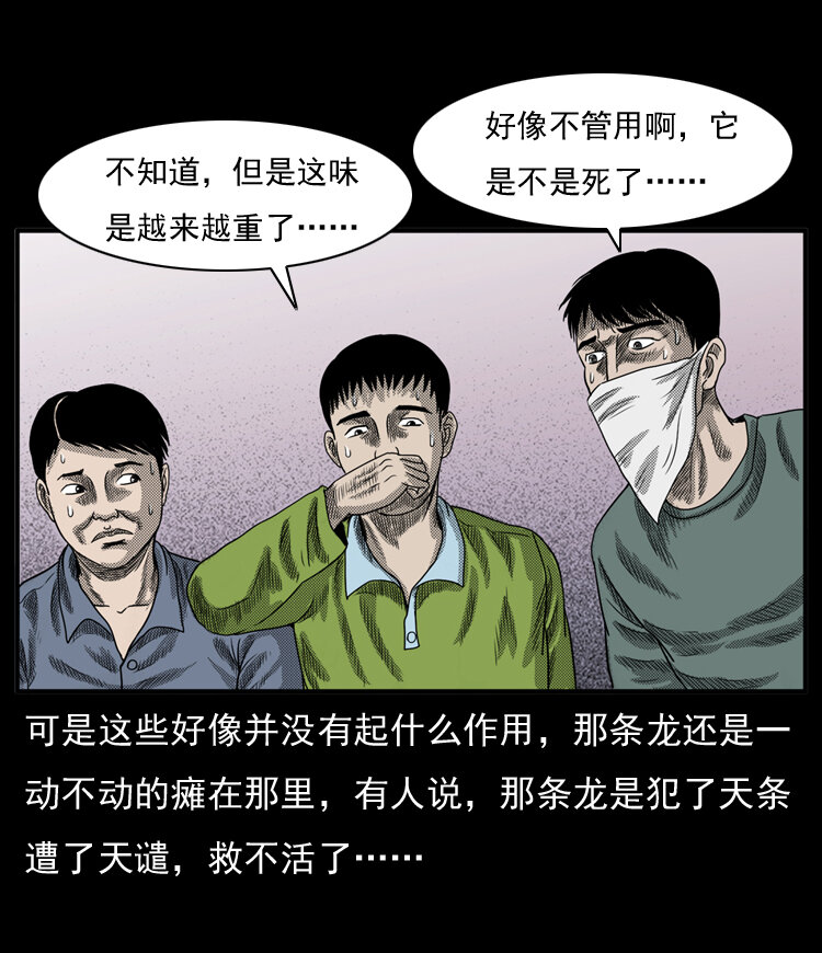 20 坠龙66