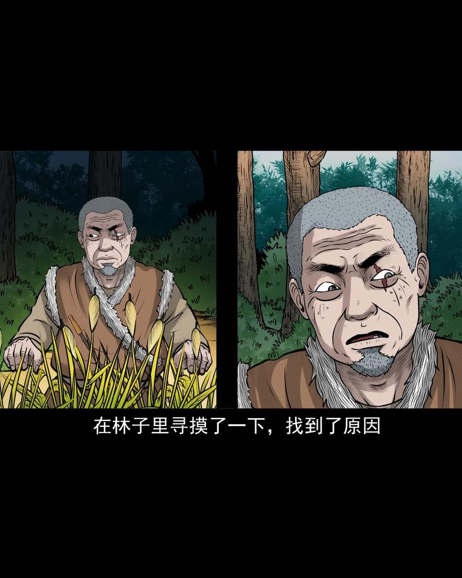 498 老烟鬼8714