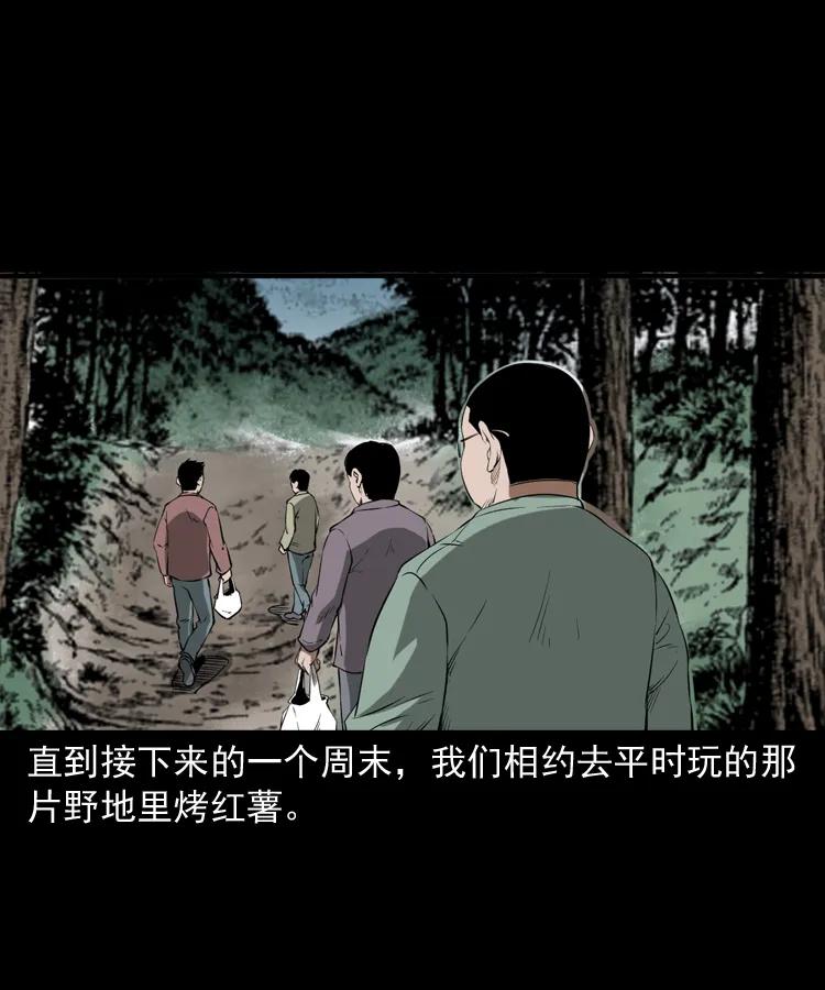 341 本命年撞煞33