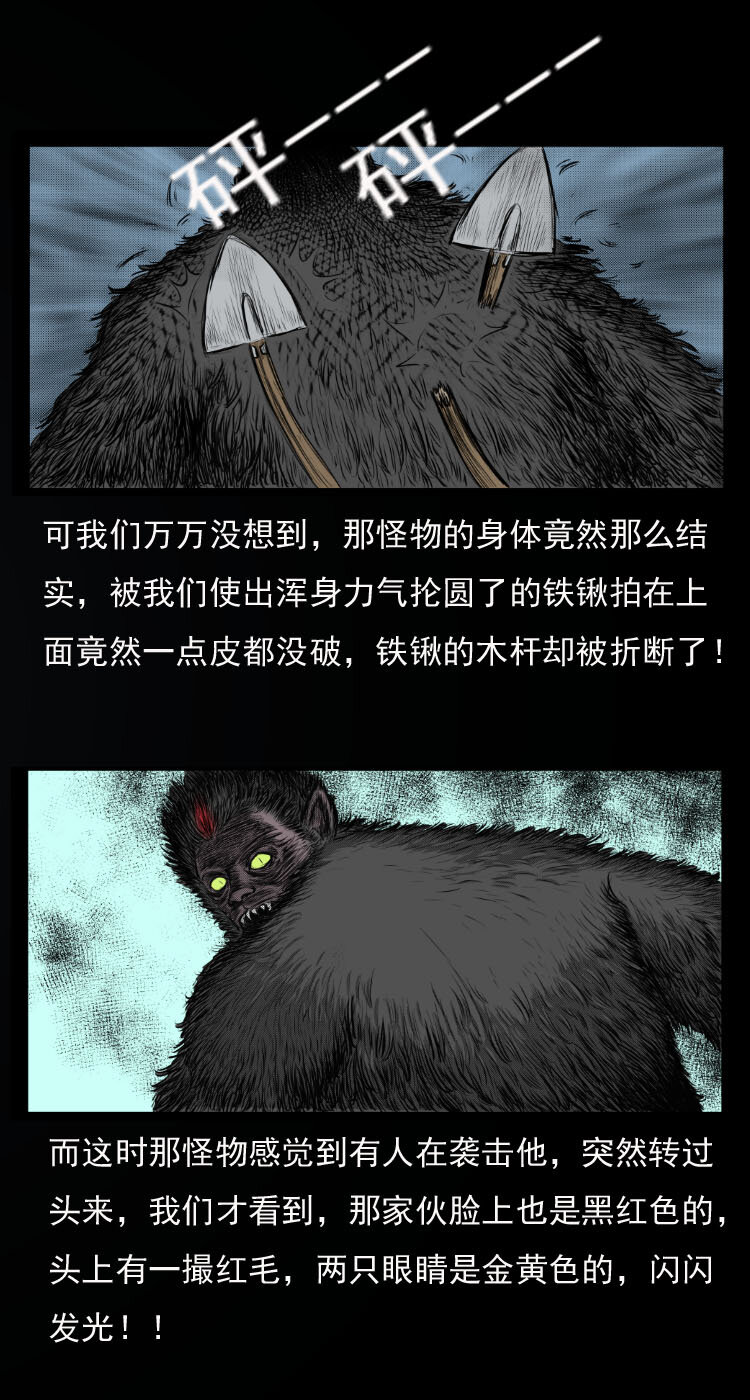 10 青藏铁路怪物事件21