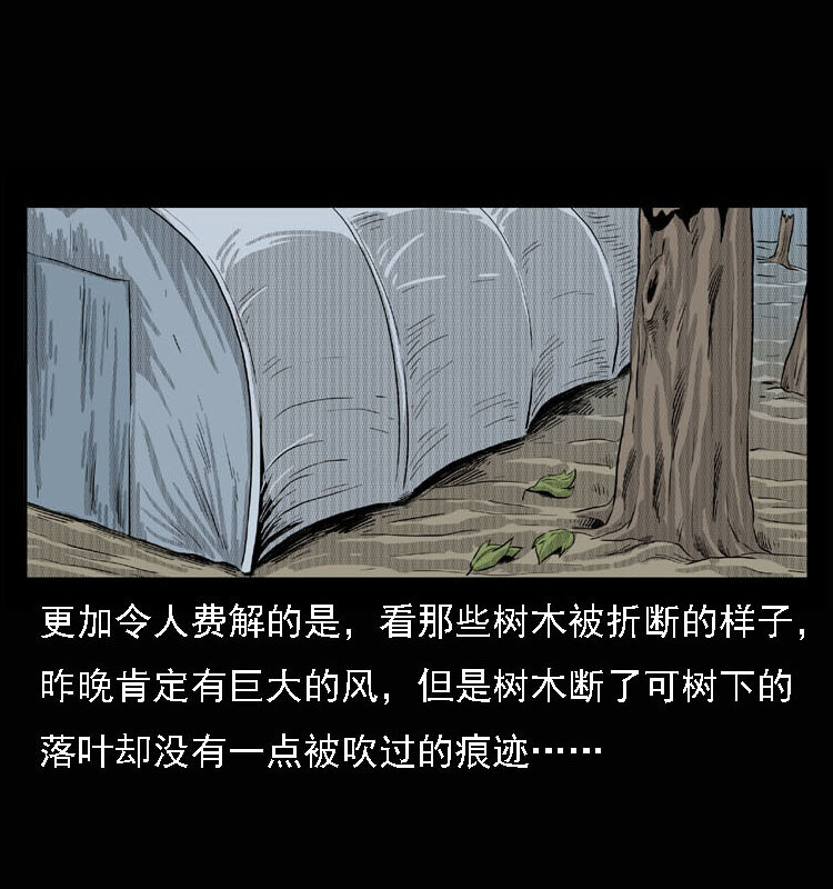 15 空中怪车事件59
