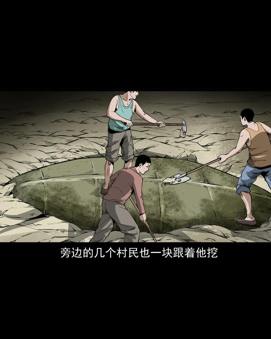 493 大王八5