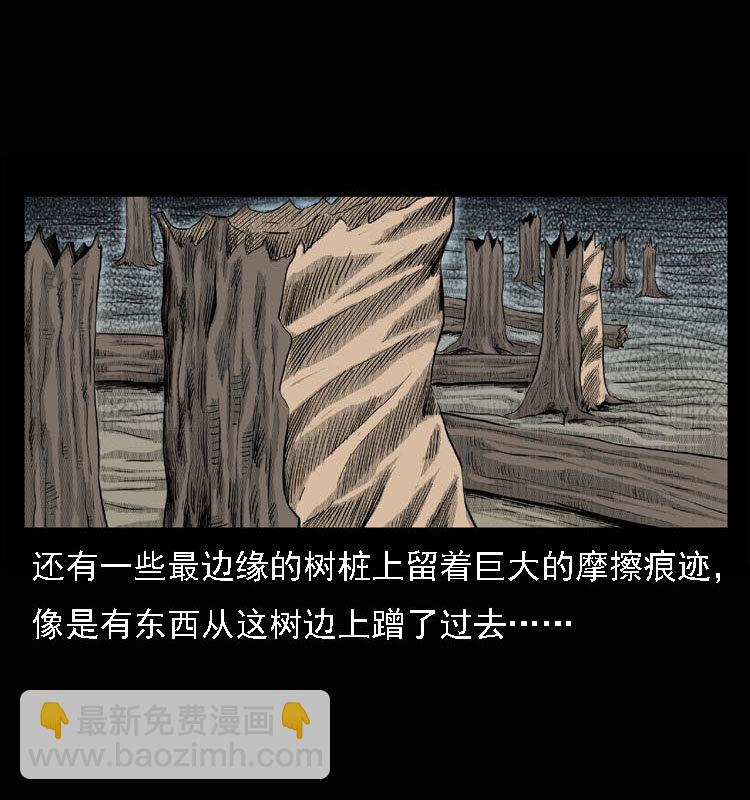 15 空中怪车事件55