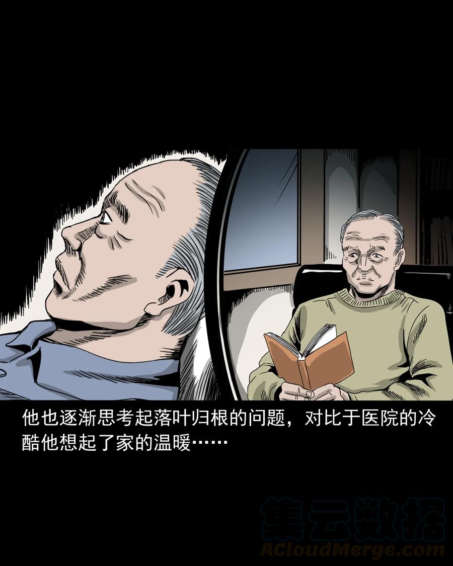 388 叶落归根32