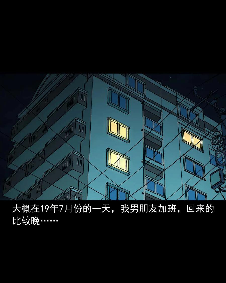 511 猫看见了什么8