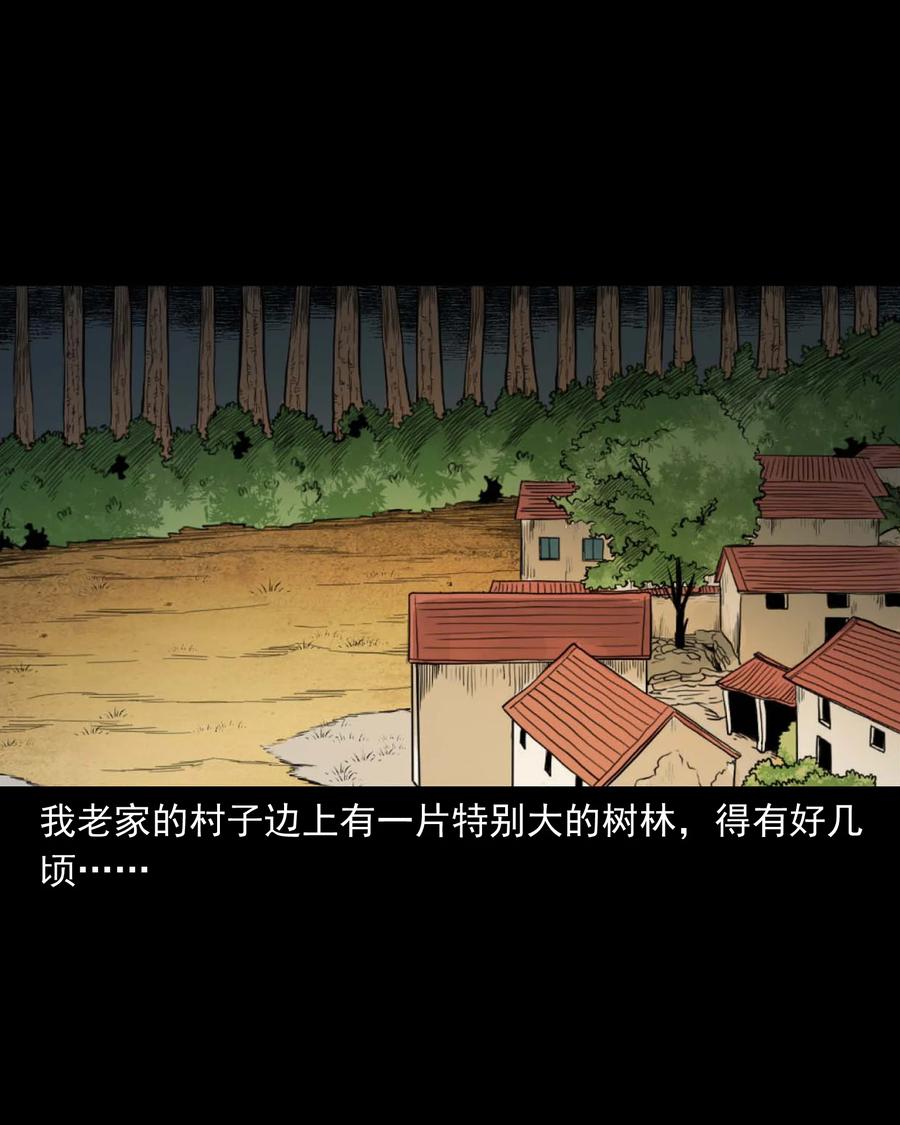 513 恐怖丛林1