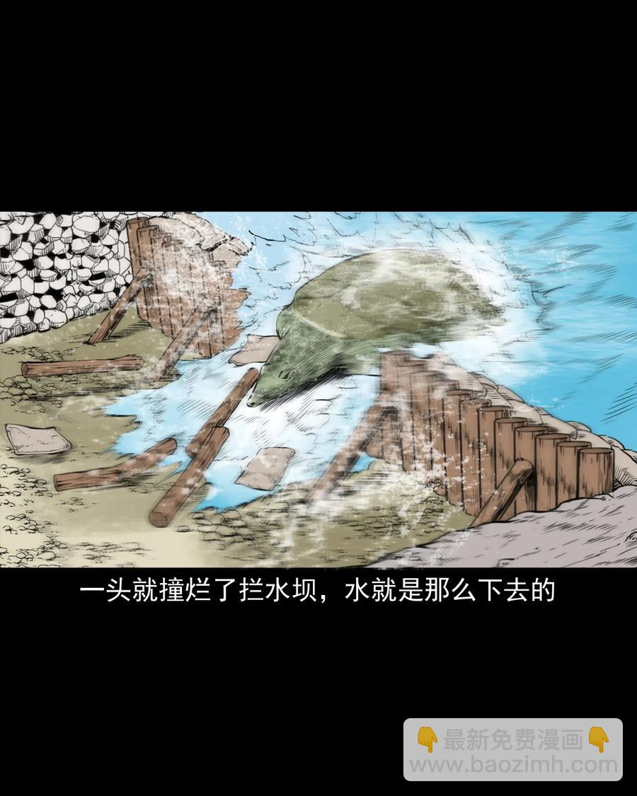 493 大王八44