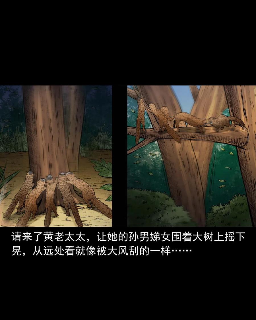 447 老烟鬼6285