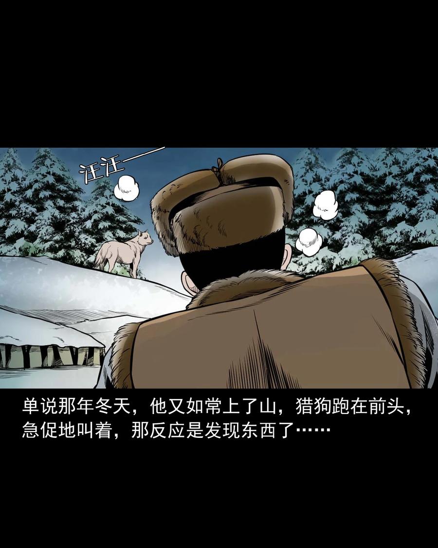545 狐狸围脖5