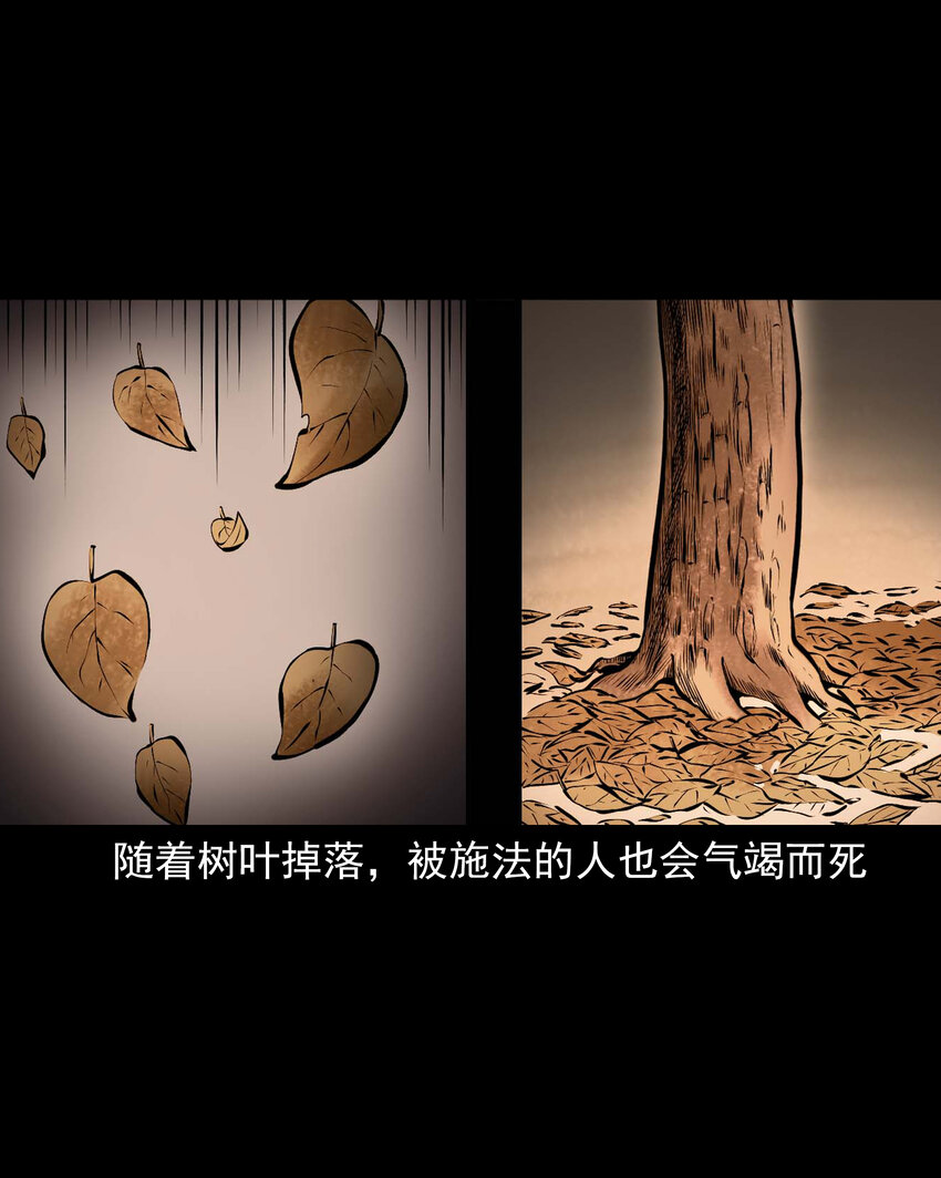 613 老烟鬼146话56