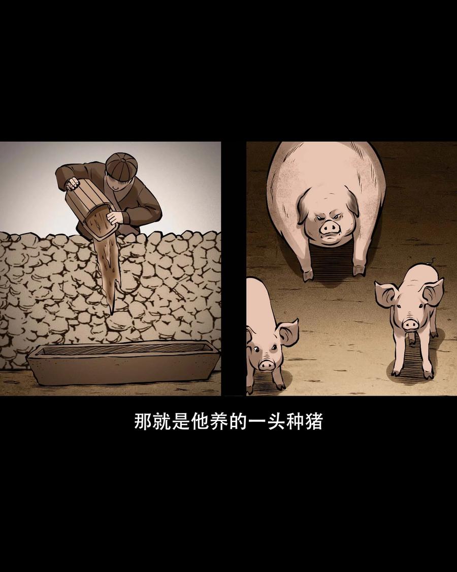 559 老烟鬼116话58