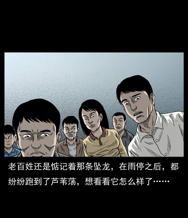 20 坠龙75