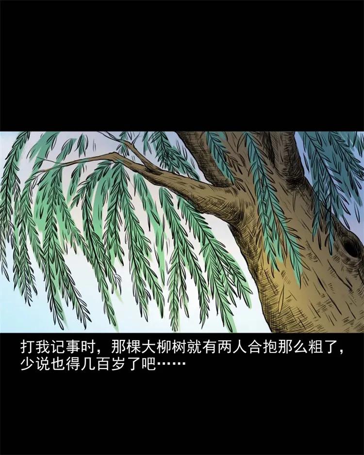 265 石桥3