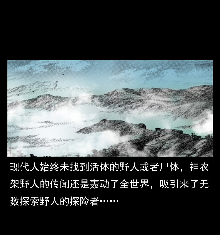 16 神农架野人82