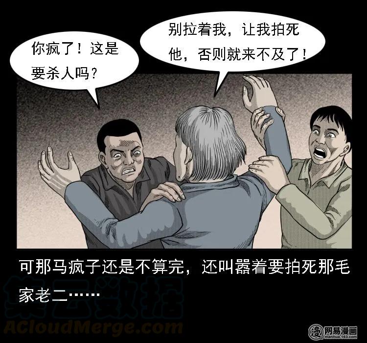 35 马疯子36