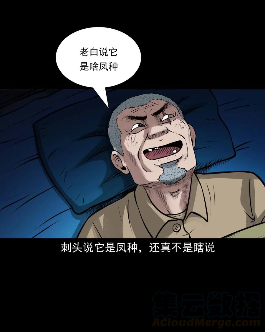 488 老烟鬼8215