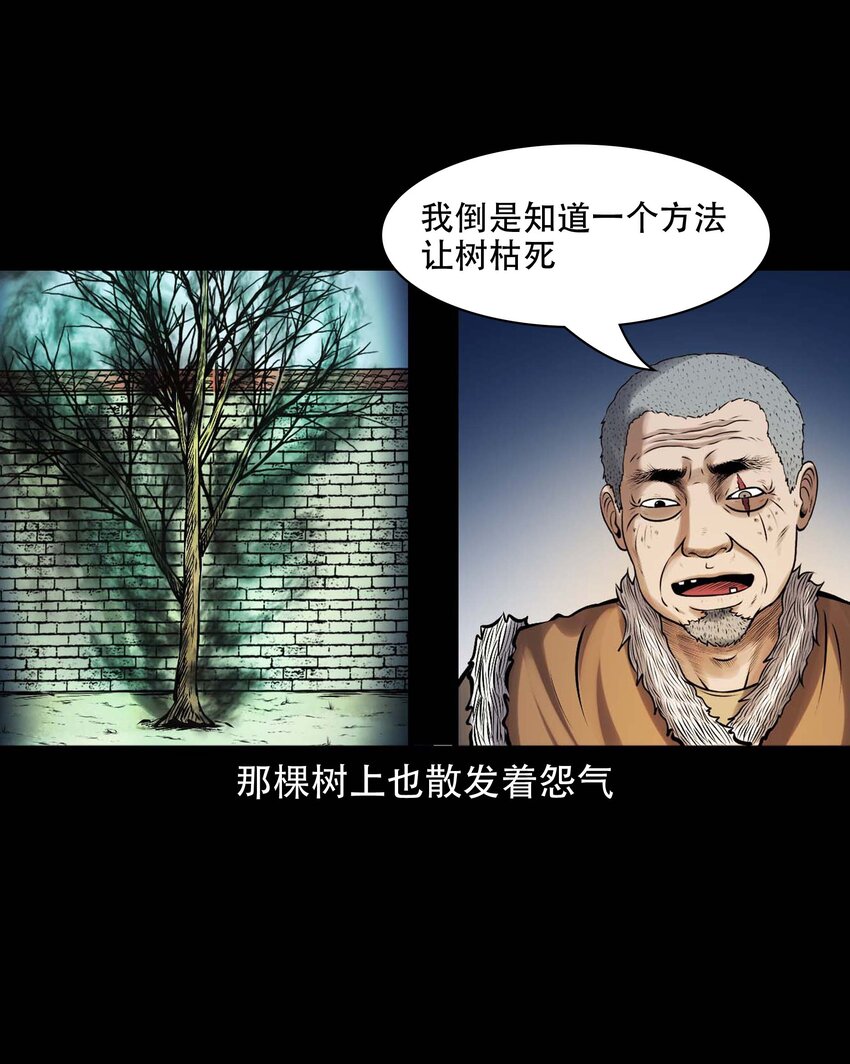 613 老烟鬼146话50