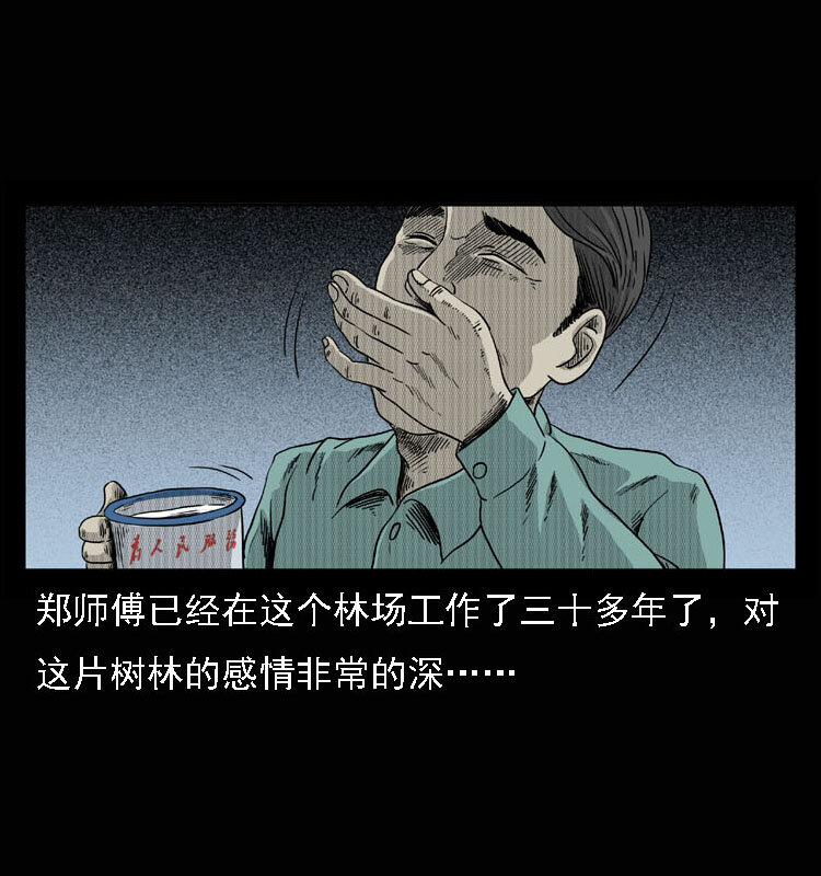 15 空中怪车事件21