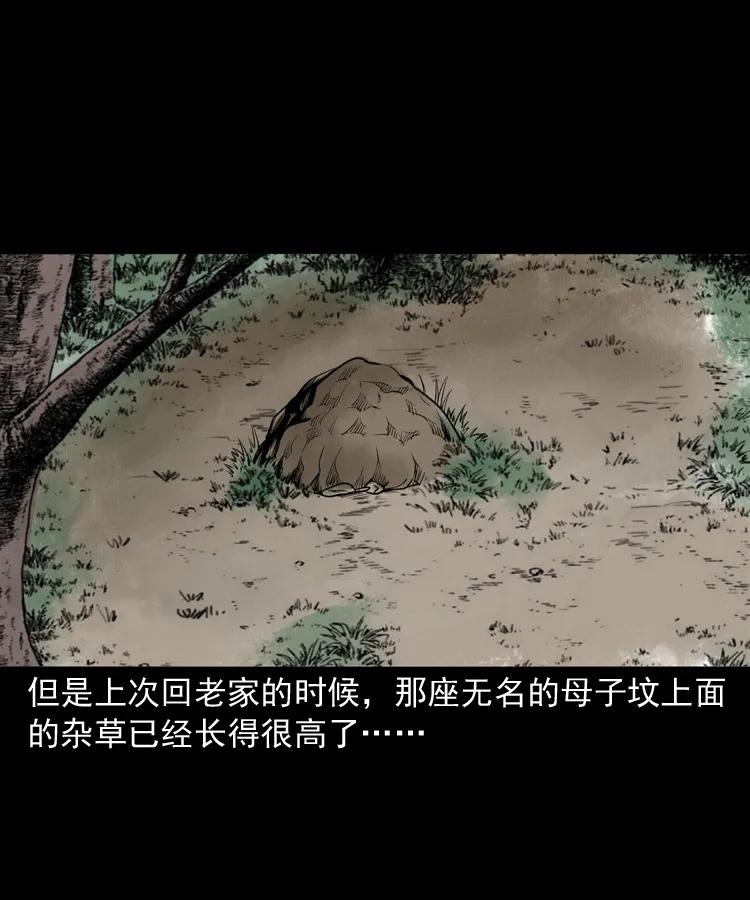 341 本命年撞煞95