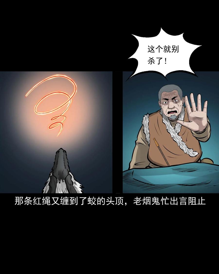 540 老烟鬼10764