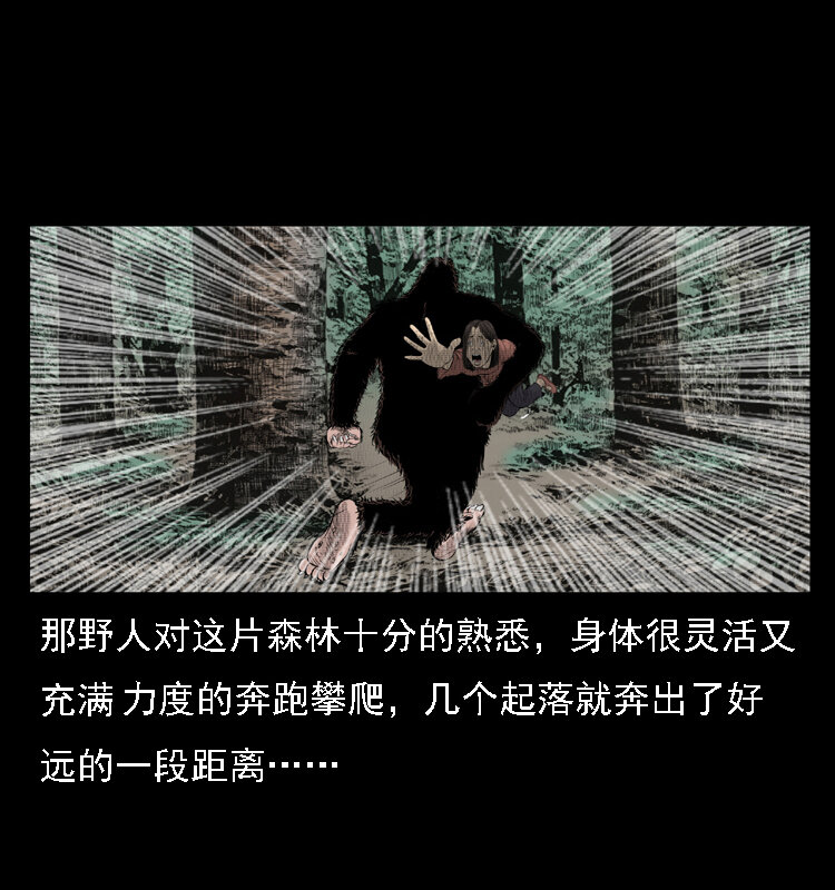 16 神农架野人26