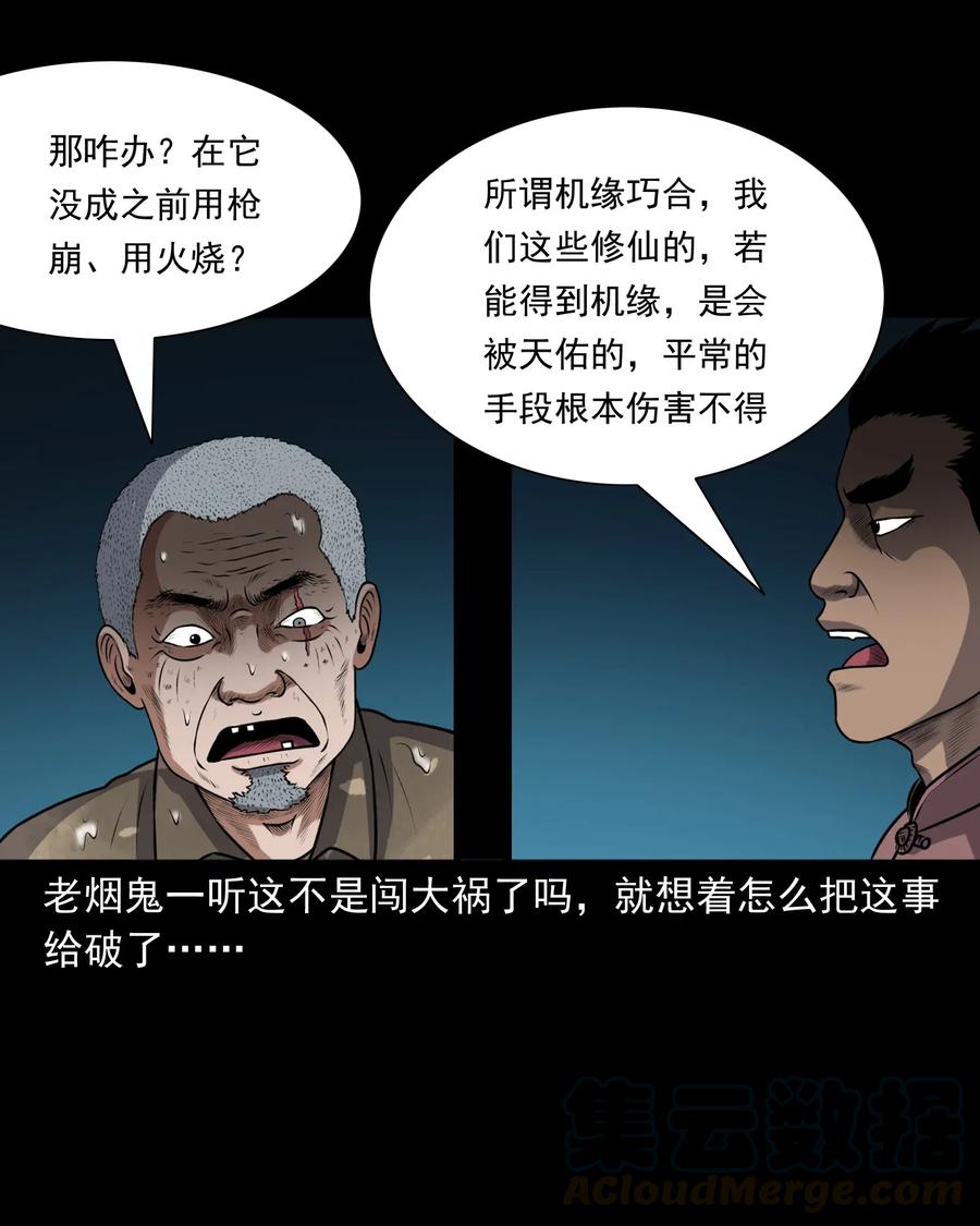 411 老烟鬼4456
