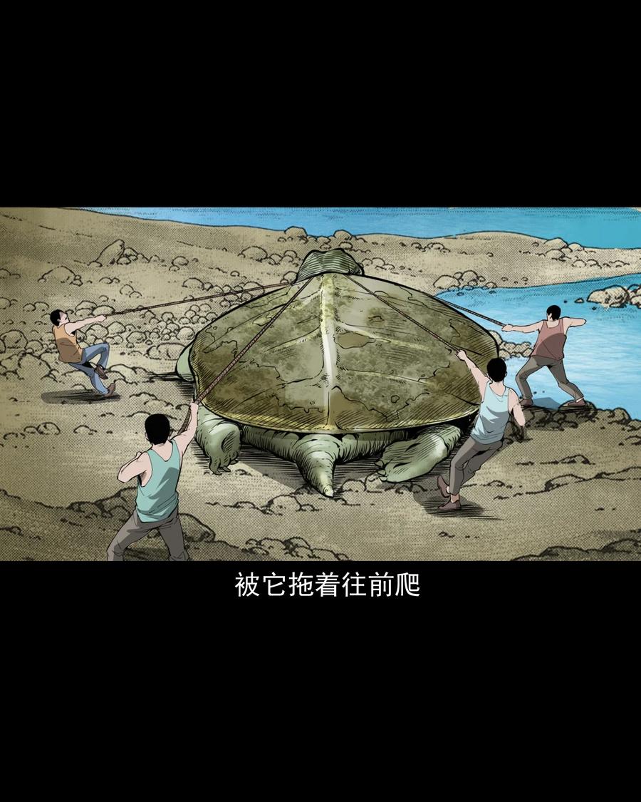 493 大王八17