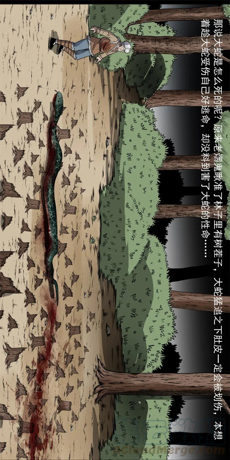 359 老烟鬼（十八）28