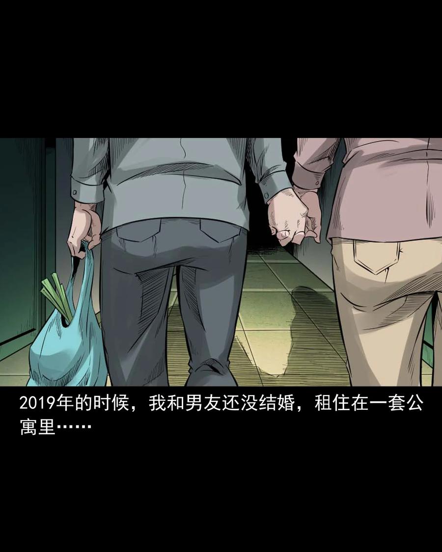 511 猫看见了什么1
