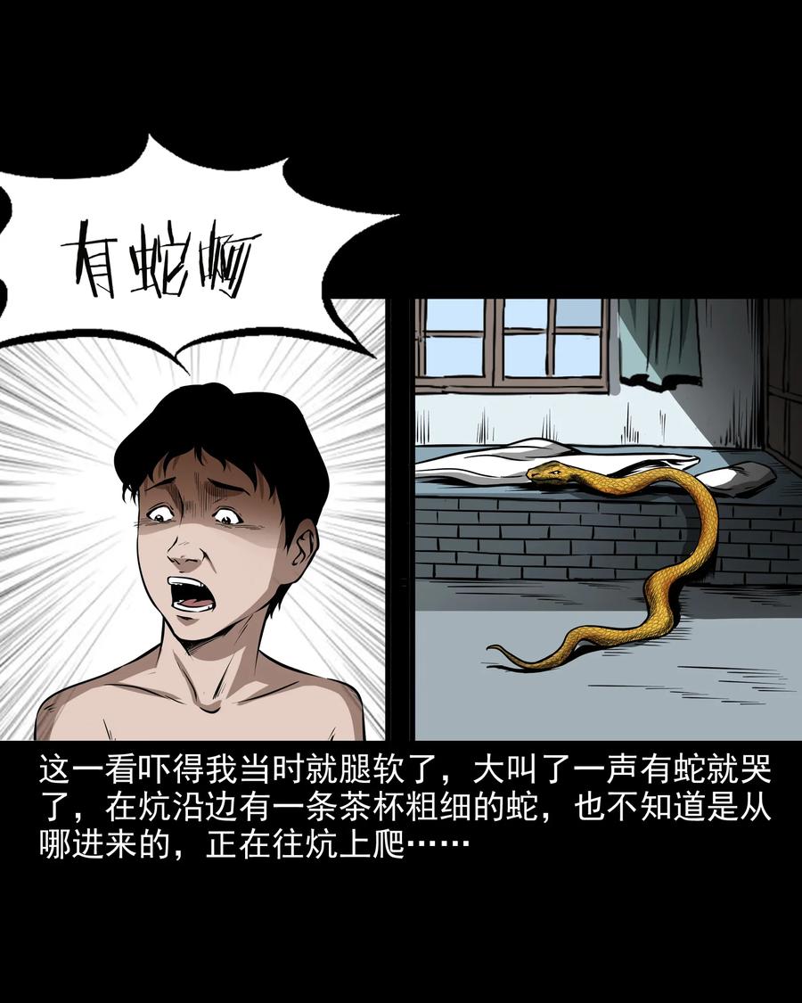 291 蛇祸10