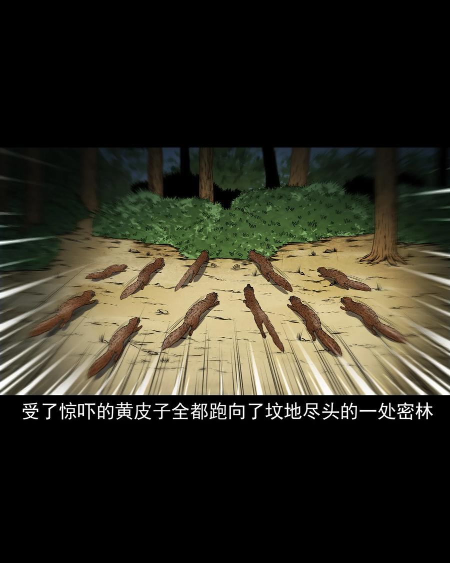 377 老烟鬼（二十七）14