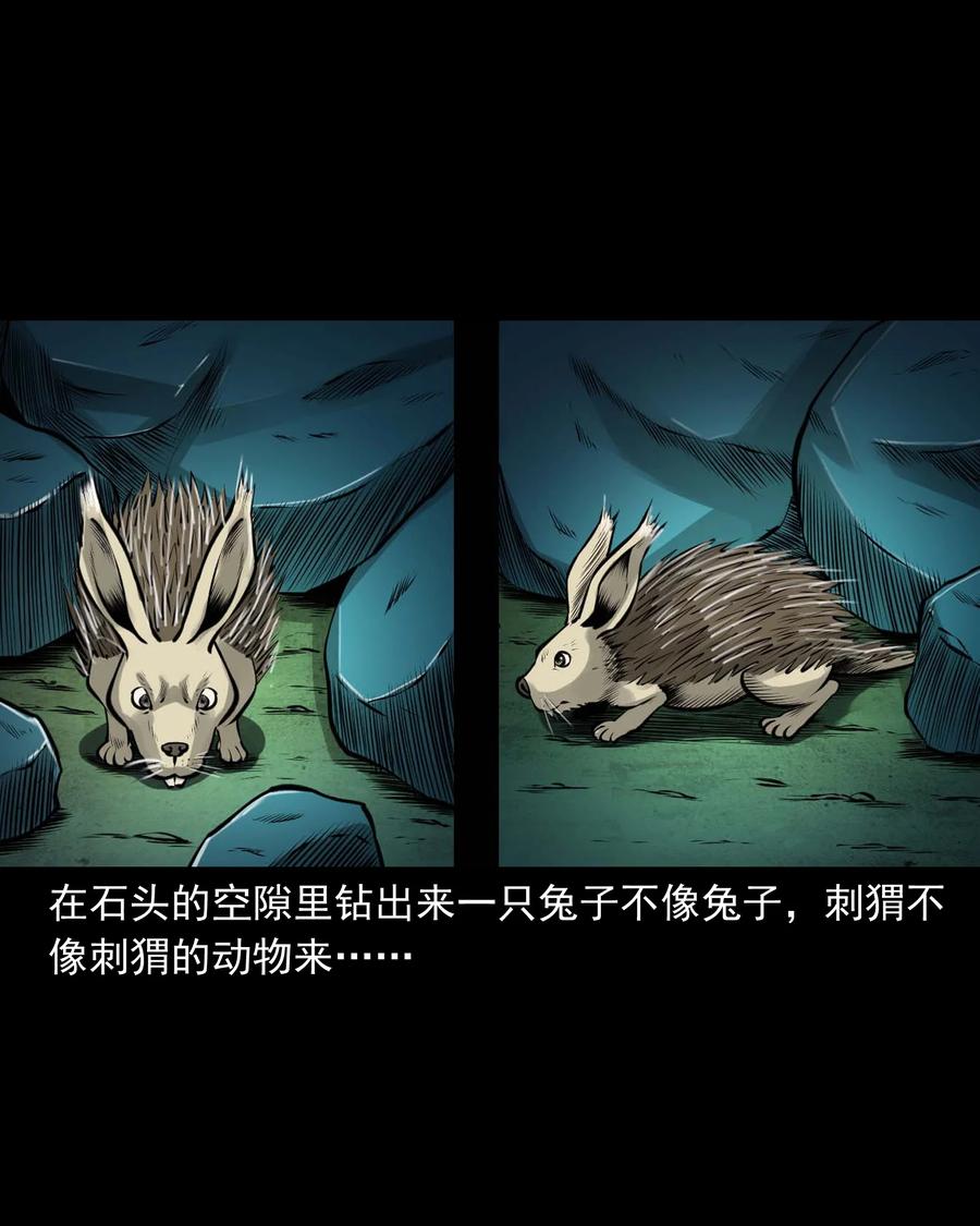 498 老烟鬼8740