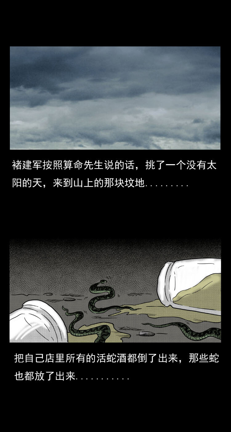 5 活蛇酒26