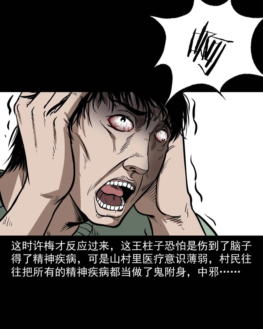 313 疯病26